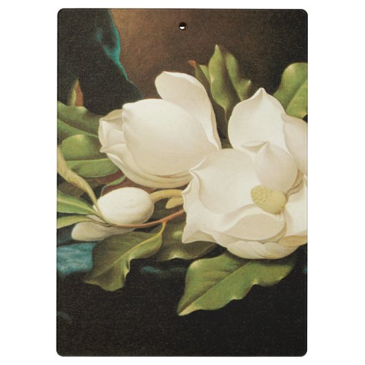 Giant Magnolias op een blauwe vlinderkast van MJ H Klembord (Achterkant)