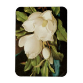 Giant Magnolias op een blauwe vlinderkast van MJ H Magneet (Verticaal)