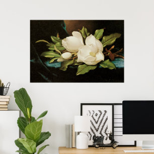 Giant Magnolias op een blauwe vlinderkast van MJ H Poster