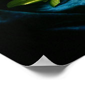 Giant Magnolias op een Blue Velvet Cloth Poster (Hoek)