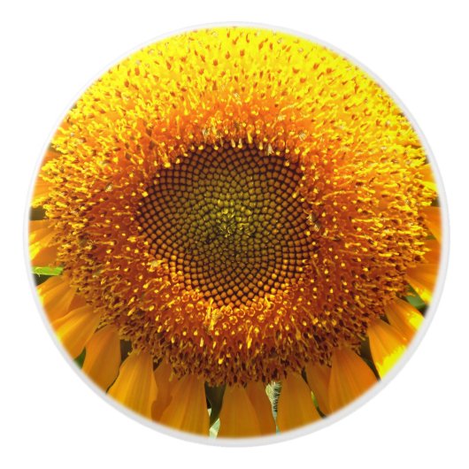 Giant mammoth yellow sunflower keramische knop (Voorkant)