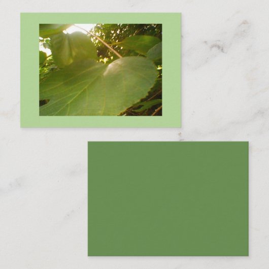 Giant Mulberry Leaf Visitekaartje (Voorkant / Achterkant)