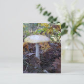 Giant Mushroom Briefkaart (Staand voorkant)