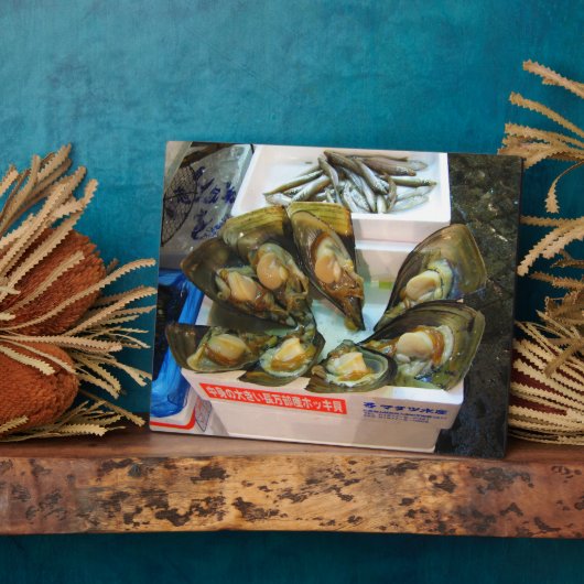 Giant Mussels Tsukiji Fish Market, Tokyo, Japan Fotoplaat (Zijkant)