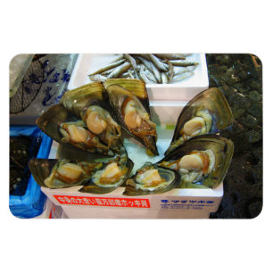 Giant Mussels Tsukiji Fish Market, Tokyo, Japan Magneet