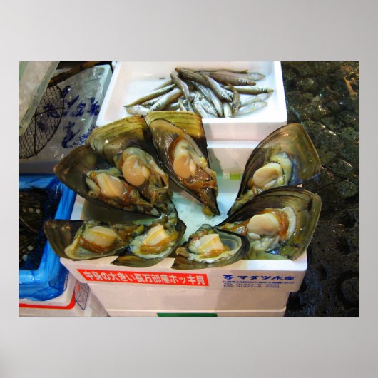 Giant Mussels Tsukiji Fish Market, Tokyo, Japan Poster (Voorkant)