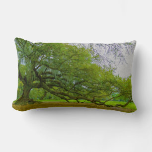 Giant Oak Tree Art Kussen