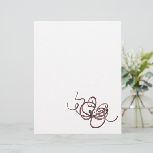 Giant Octopus (Staand voorkant)