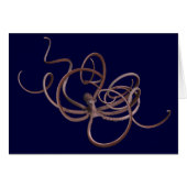 Giant Octopus (Voorkant Horizontaal)