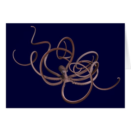 Giant Octopus (Voorkant Horizontaal)