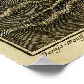 Giant Octopus 1801 Etching Poster (Hoek)