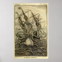 Giant Octopus  1801 Etching