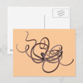 Giant Octopus Briefkaart (Voorkant / Achterkant)