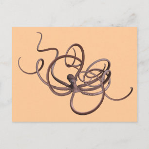 Giant Octopus Briefkaart
