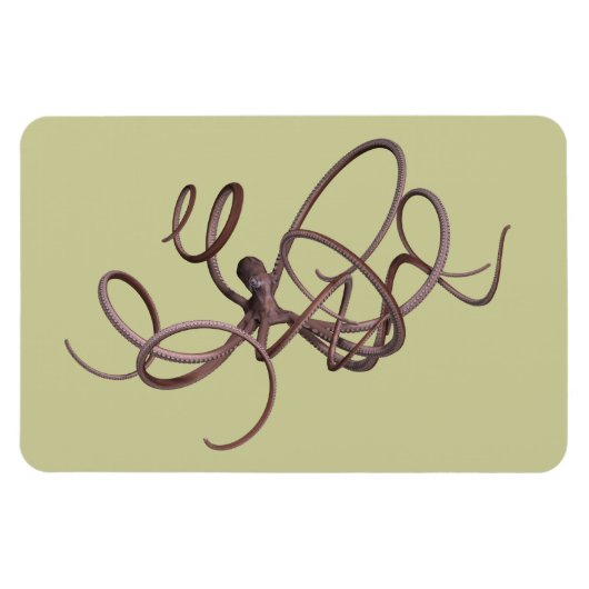 Giant Octopus Magneet (Horizontaal)