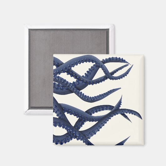 Giant Octopus Tentacles Magneet (Voorkant / Achterkant)