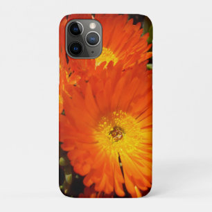 Giant Oranje Daisies, Case-Mate iPhone Case