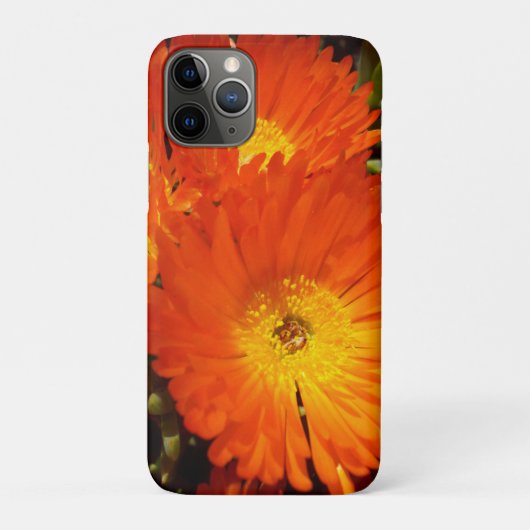 Giant Oranje Daisies, Case-Mate iPhone Case (Achterkant)