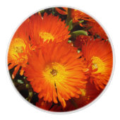 Giant Oranje Daisies, Keramische Knop (Voorkant)