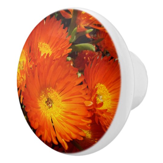 Giant Oranje Daisies, Keramische Knop (Rechts)