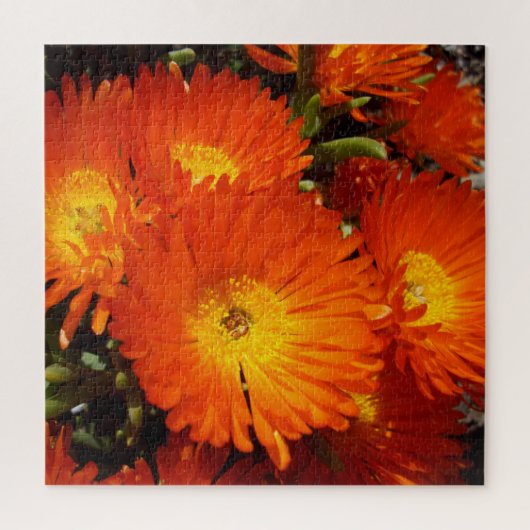 Giant Oranje Daisies, Legpuzzel (Verticaal)