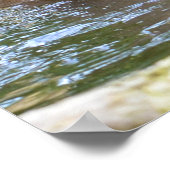 Giant otter die een vis eet poster (Hoek)