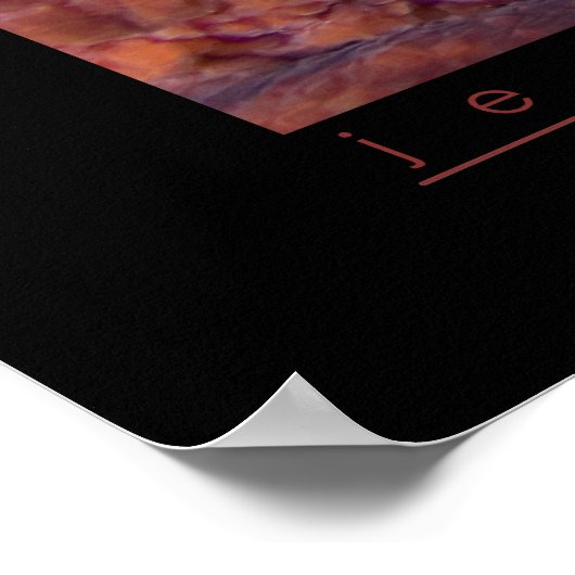 Giant Pacific Octopus Poster (Hoek)