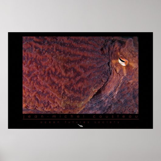 Giant Pacific Octopus Poster (Voorkant)