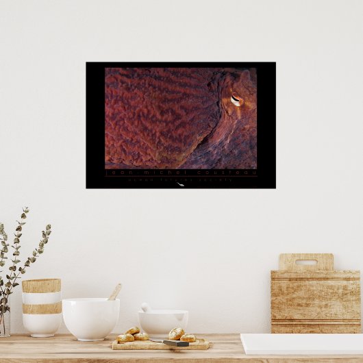 Giant Pacific Octopus Poster (Keuken)
