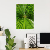 Giant Palm Leaf, Queensland Poster (Thuiskantoor)