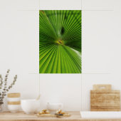 Giant Palm Leaf, Queensland Poster (Keuken)