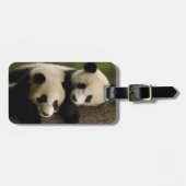 Giant panda babies (Ailuropoda melanoleuca) 2 Bagagelabel (Voorkant horizontaal)