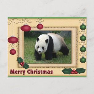 Giant Panda Bear & Baby Panda Christmas Card Feestdagenkaart