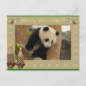 Giant Panda Bear & Baby Panda Christmas Card Feestdagenkaart (Voorkant)