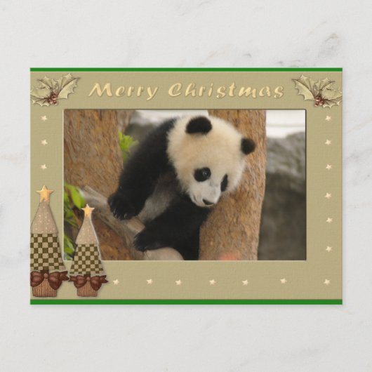 Giant Panda Bear & Baby Panda Christmas Card Feestdagenkaart (Voorkant)