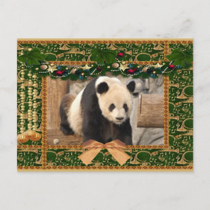 Giant Panda Bear & Baby Panda Christmas Card Feestdagenkaart