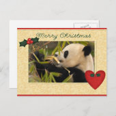 Giant Panda Bear & Baby Panda Christmas Card Feestdagenkaart (Voorkant / Achterkant)