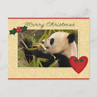 Giant Panda Bear & Baby Panda Christmas Card Feestdagenkaart