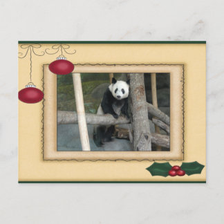 Giant Panda Bear & Baby Panda Christmas Card Feestdagenkaart