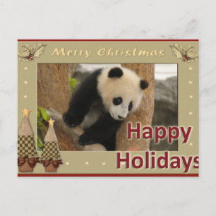 Giant Panda Bear & Baby Panda Christmas Card Feestdagenkaart
