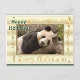 Giant Panda Bear & Baby Panda Christmas Card Feestdagenkaart