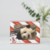 Giant Panda Bear & Baby Panda Christmas Card Feestdagenkaart (Staand voorkant)
