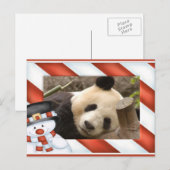 Giant Panda Bear & Baby Panda Christmas Card Feestdagenkaart (Voorkant / Achterkant)