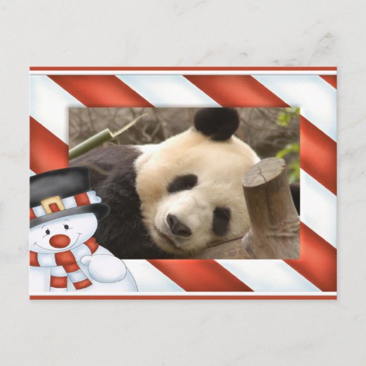 Giant Panda Bear & Baby Panda Christmas Card Feestdagenkaart (Voorkant)