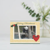 Giant Panda Bear or Baby Panda Christmas Postcard Feestdagenkaart (Staand voorkant)