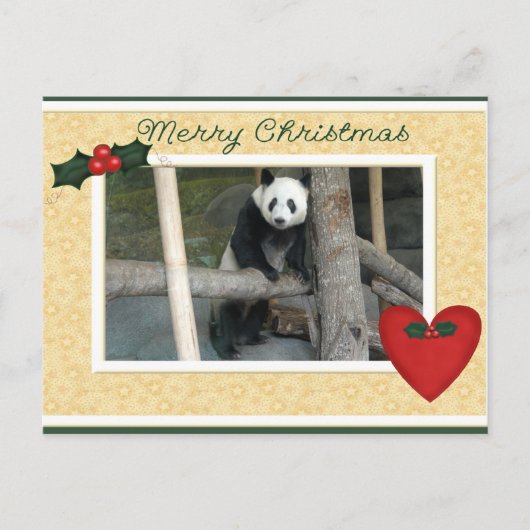 Giant Panda Bear or Baby Panda Christmas Postcard Feestdagenkaart (Voorkant)