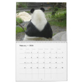 Giant Panda Beer Calendar, Giant Panda Beren Kalender (Feb 2026)