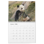 Giant Panda Beer Calendar, Giant Panda Beren Kalender (Jan 2026)