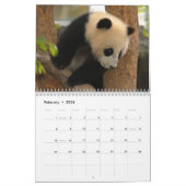 Giant Panda Beer Calendar, Giant Panda Beren Kalender (Feb 2026)