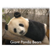 Giant Panda Beer Calendar, Giant Panda Beren Kalender (Hoes)